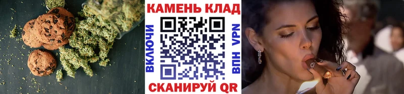 kraken   мориарти клад  Новозыбков  Печенье с ТГК конопля  цена наркотик 