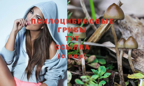 ECSTASY Алексеевка