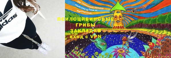 ECSTASY Алексеевка