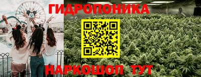 стаф Нарткала