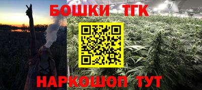 apvp Нальчик