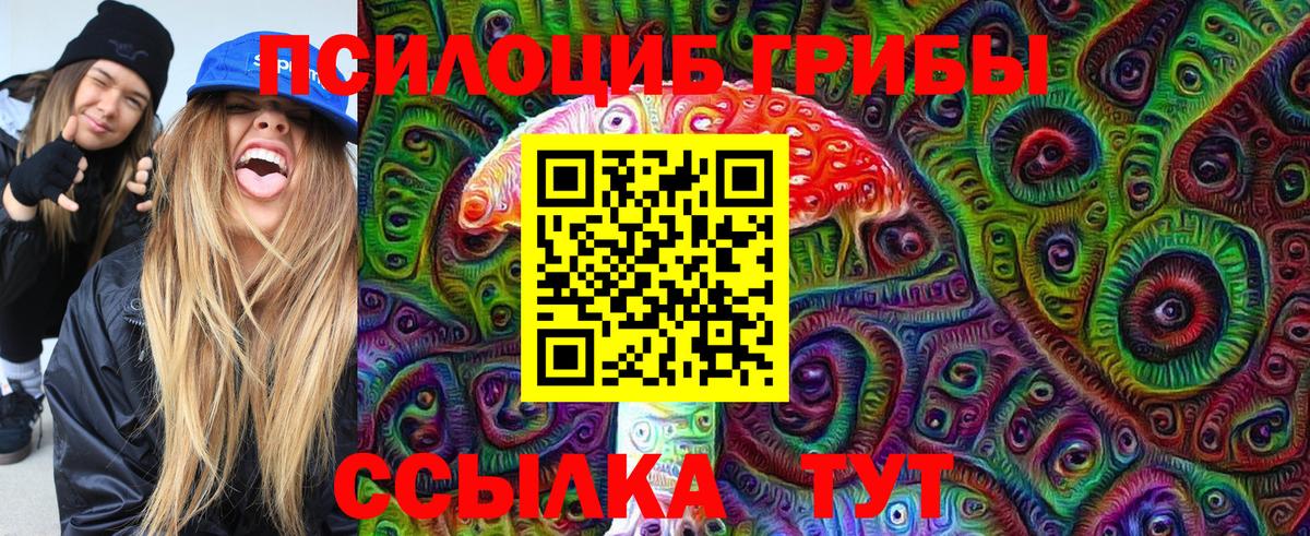 Галлюциногенные грибы GOLDEN TEACHER Новозыбков