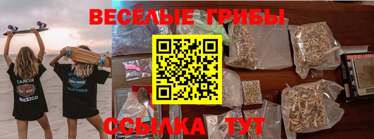 Новозыбков  Псилоцибиновые грибы Psilocybe  Вход с VPN 